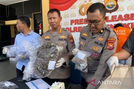 Polresta Bengkulu bekuk tiga pengedar, sita 2 kg ganja dan sabu