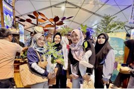 Dishut Kalsel bagikan ribuan bibit pohon dukung penghijauan