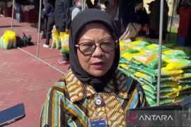 Stok beras di Sultra capai 70 ribu ton cukup hingga 30 bulan