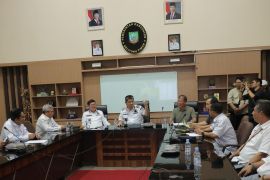 Bangka Belitung targetkan tanam lima juta pohon kelapa