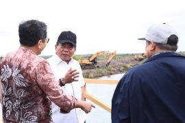 Bupati Kapuas minta BWS bantupenataan kawasan kota