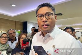 Wamentan: Distribusi beras SPHP diperkuat demi stabilitas harga