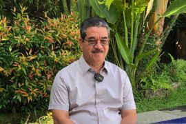 Pemprov Maluku  manfaatkan e-government untuk tingkatkan PAD