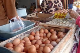 Disperindag sebut harga bahan pokok di Lebak relatif stabil