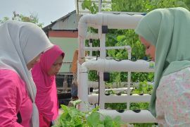 Kepulauan Seribu ajak kelompok wanita tani bantu sediakan pangan segar