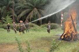 Holding Perkebunan Nusantara perkuat kesiapsiagaan karhutla PTPN IV Regional V