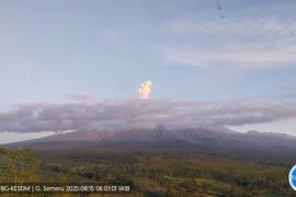 Gunung Semeru empat kali erupsi dengan tinggi letusan hingga 900 meter