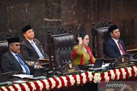 Puan sebut pembagian kekuasaan bukan untuk saling melemahkan