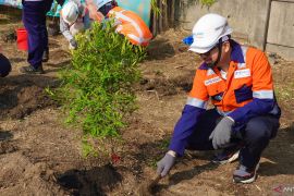 Terminal Petikemas Surabaya upayakan emisi nol melalui penghijauan