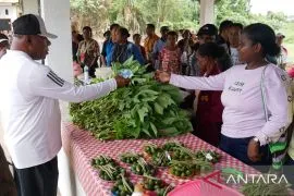 Bupati Wondama: Pasar Sobey dorong pertumbuhan ekonomi