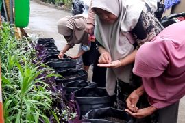 Dorong pangan lokal, Pertamina Patra RJBB adakan pelatihan urban farming
