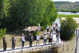 MPMX dukung pengembangan ekowisata dengan penanaman mangrove