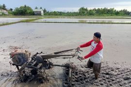 RI Govt speeds up food self-sufficiency to improve farmers' welfare