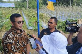 Dana kredit Smart di BPR Tabalong Bersinar capai Rp53 miliar