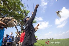 Lepas liar ular dan burung hantu di Indramayu