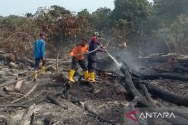 BPBD Aceh Barat kerahkan petugas ke Desa Peulanteu padamkan karhutla