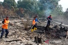 BPBD Aceh Barat berhasil padamkan karhutla di areal seluas satu hektare