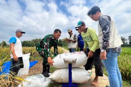 Mentan tegaskan pemerintah jalankan kebijakan pro petani