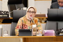 Anggota DPR: Pemerintah perlu dukung modernisasi penggilingan beras