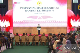 Muzani: Amendemen UUD bukan solusi instan, harus lewat proses panjang