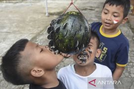 Lomba memeriahkan HUT Kemerdekaan RI di Ciamis