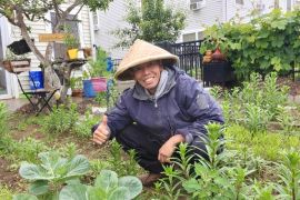 Ungkapan hati dari seorang diaspora Indonesia di Philadelphia Amerika Serikat