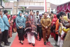 Ketua TP PKK Sumut Kahiang Ayu Bobby Nasution, kunker ke Padang Lawas