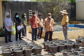 Pemprov ajak masyarakat Sumsel manfaatkan lahan tidak produktif