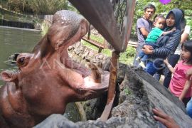 Sebanyak 6.700 wisatawan kunjungi GL Zoo selama libur HUT RI