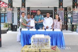 Lanal Labuan Bajo menggagalkan penyelundupan ribuan burung dilindungi