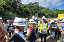 Legislator berhasil lobi Presiden bangun tiga jembatan di Pesisir Selatan