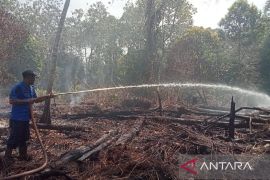 BPBD Aceh Barat kerahkan petugas padamkan karhutla