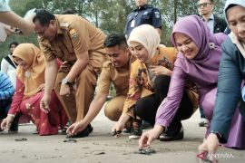 Konservasi penyu Pariaman lepas 800 ekor tukik ke laut sepanjang 2025