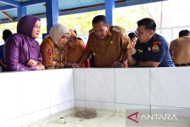 Konservasi penyu Pariaman tunjang pariwisata daerah