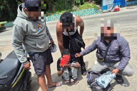 Polisi tangkap mahasiswa pengedar ganja di Jayapura