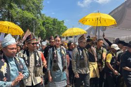 Wapres, Menpar hingga Kepala PCO hadiri Festival Pacu Jalur