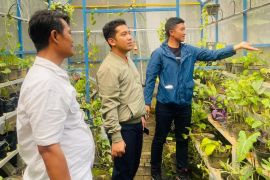 Bersama Kampung Sirih, Pertamina Patra Niaga Regional JBB sinergi bangun kemandirian ekonomi