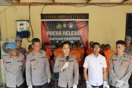 Polres Polewali Mandar Sulbar tangkap 13 pelaku penyalahgunaan narkoba