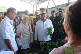 Bupati Mabar meminta warga jujur saat BPS lakukan SKBG