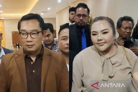 Analisis hukum hasil tes DNA Ridwan Kamil vs Lisa Mariana