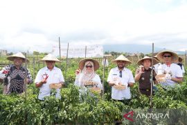 Pelni berdayakan desa mandiri untuk pasok makanan penumpang