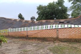 BPBD Bangka verifikasi puluhan rumah terdampak angin puting beliung