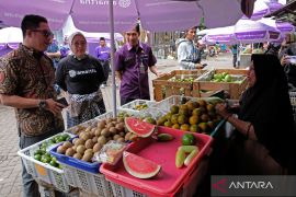 Fintech, jembatan digitalisasi UMKM Bandarlampung