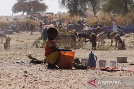 Genosida di Darfur, Sudan