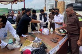 Kejari Pidie Jaya musnahkan dua pucuk senjata api