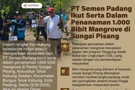 PT Semen Padang Ikut Serta Dalam Penanaman 1.000 Bibit Mangrove di Sungai Pisang