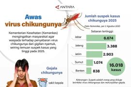 Awas virus chikungunya