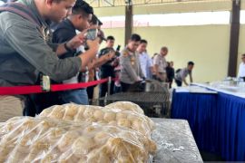 Polda Kepri gagalkan penyeludupan 2.020 butir telur penyu Bintan ke Singapura