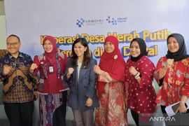 Kemkomdigi siapkan pelatihan digitalisasi bagi pengurus koperasi
