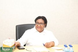 Ribka Haluk: Enam provinsi di Tanah Papua percepat eliminasi malaria